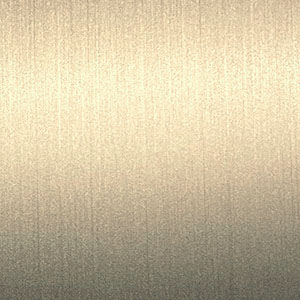 T22 Champagne Hairline Velvet 2